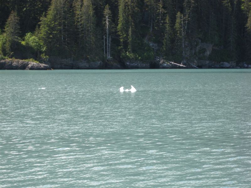 First of the Bergy Bits