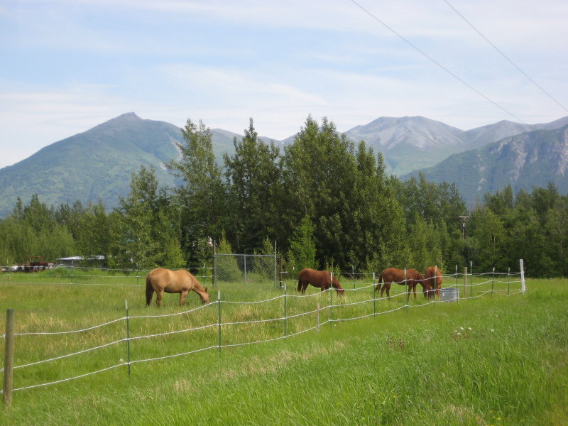 Mantanuska Valley Horse Farm
