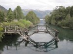 Old wooden bridge